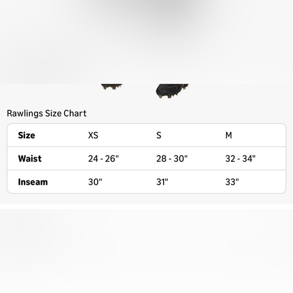 Rawlings Pro 150 Baseball Pants - Gray with Navy Stripe - Picture 4 of 4